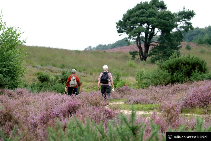 Het Nationaal Park Veluwezoom is een groot natuurgebied  in Gelderland.  Het is een  natuurgebied met bos, heide en enkele zandverstuivingen. Tip: Een weekend naar Nationaal Park Veluwezoom.